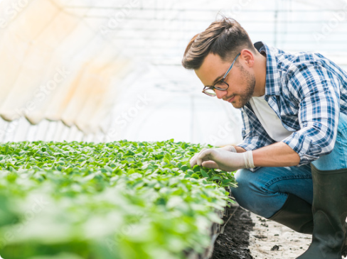 Jihočeské tržiště